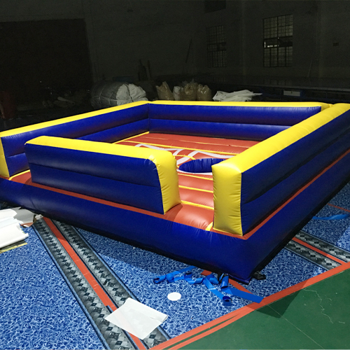 inflatable boxing ring games