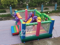 Amazing Bounce Inflatable Playground