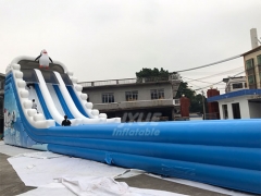 Water Slide Jumper Commercial Outdoor Inflatable Water Slide