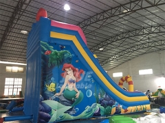Seaworld Slide Dry Slide For Children