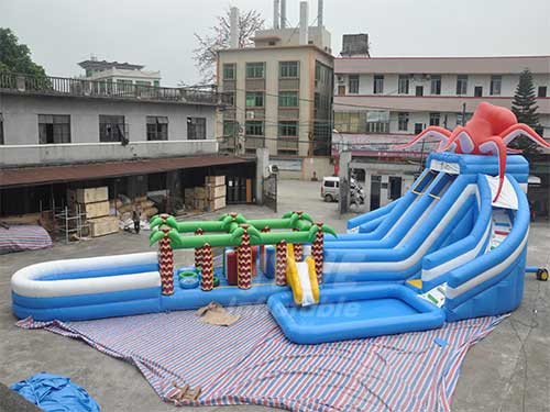 Commercial Amusement Park Inflatable Pool Water Slider , Frog Inflatable Water Slides With Pool
