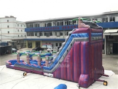 New Jungle Theme Inflatable Water Slide With Pool For Amusement Park