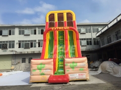 Factory Hot Sale Commercial Kids Party Western Cowboy Inflatable Slide
