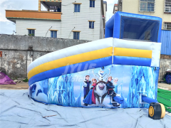 Frozen Inflatable Water Slide Rental