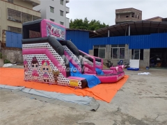 Blow Up Water Slide Small Bounce House