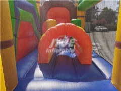 Commercial Backyard outdoor children Lion inflatable bouncy combo slide