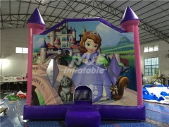 Commercial PVC Inflatable Bounce House purple inflatable combo bouncer