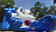 shark inflatable water slide Jyue-IWS-008