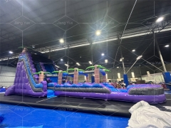 17ft Waterslide Purple Hot Sale Tropical Palm Tree Commercial PVC Marble Kids Party Game Primary Colors Inflatable Water Slide