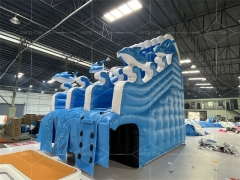 Dolphin Inflatable Pool Slide for Swimming Pool Inflatable Swimming Pool Slides for Sale