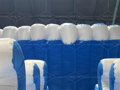 Dolphin Inflatable Pool Slide for Swimming Pool Inflatable Swimming Pool Slides for Sale