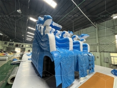 Dolphin Inflatable Pool Slide for Swimming Pool Inflatable Swimming Pool Slides for Sale