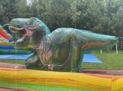 dinosaur water slide Jyue-IWS-015