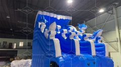 Blue Dolphin Commercial Large Outdoor PVC Inflatable Swimming Pool Slide