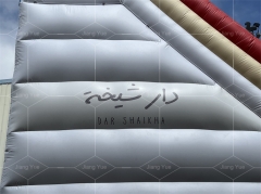 Commercial Colorful Theme Large Inflatable Slides Outdoor