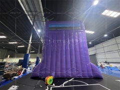 17x5m Purple Plam Tree Inflatable Water Slide