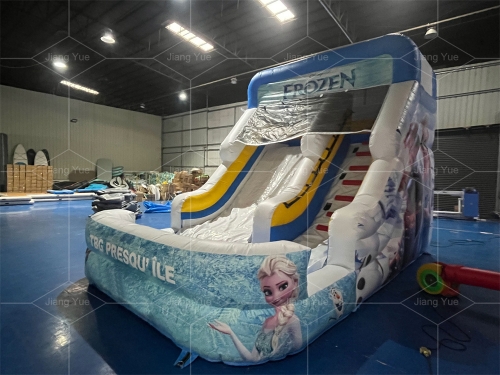 Frozen Double Splash Water Slide